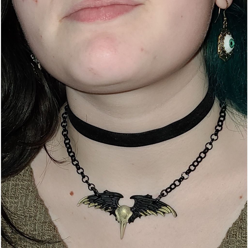 Gothic Crow Raven Choker Necklace All Black White Head Goth Boho